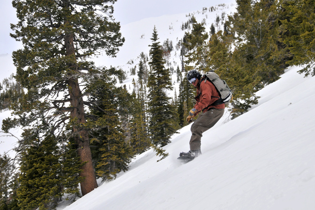 The Mountain Pulse Photo of the Day - 02/14/11 - Taylor Mountian
