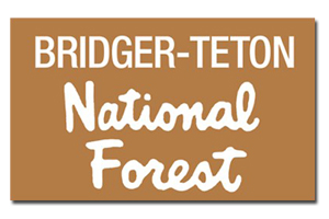 Bridger Teton National Forest Jackson Hole The Mountain Pulse