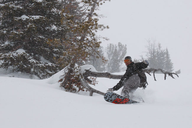 The Mountain Pulse Photo of the Day 04/29/11 - Spring Pow at Jackson Hole Mountain Resort