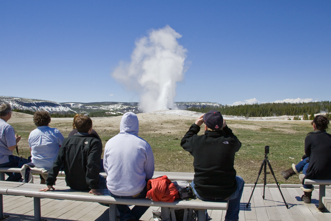 The Mountain Pulse Jackson Hole Yellowstone National Park Photo of the Day 05/16/11