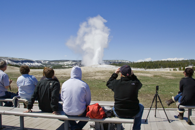 The Mountain Pulse Jackson Hole, Yellowstone Wyoming