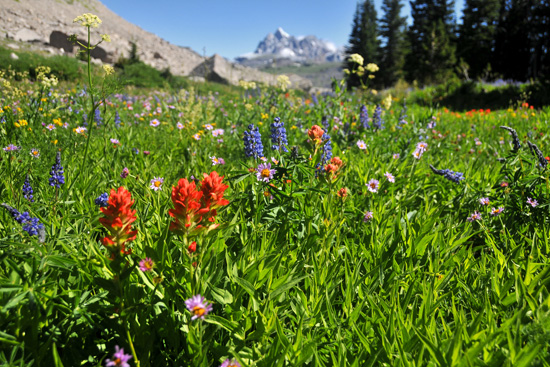 hiking trail maps, jackson wyoming, grand teton national park maps, bridger-teton national forest maps,