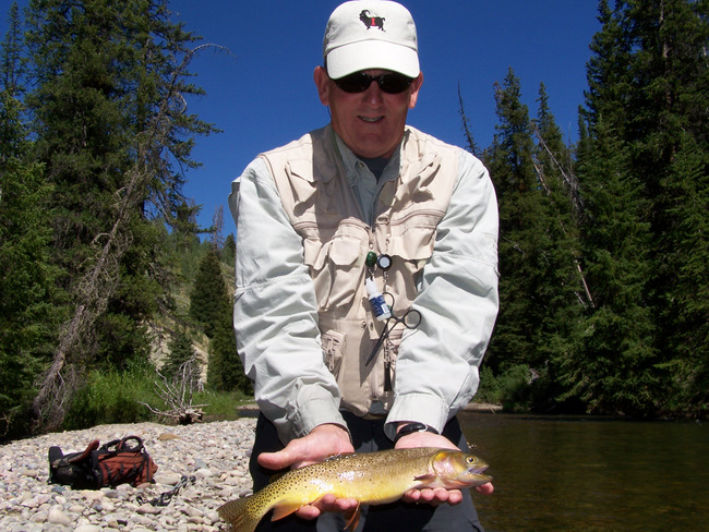 Jackson Hole Backcountry Creek Cutthroat The Mountain Pulse Jackson Hole Grand Teton FLy Fishing