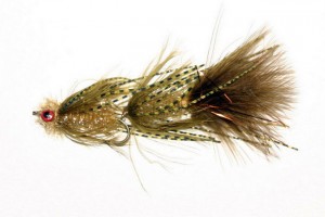 Fly Fishing Circus Peanut The Mountain Pulse Jackson Hole Grand Teton National Park Trout