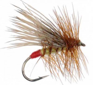 The Mountain Pulse Fly Fishing Report Yellow Sally