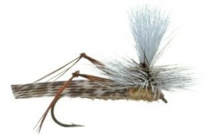 Fly Fishing Hopper The Mountain Pulse Jackson Hole Grand Teton