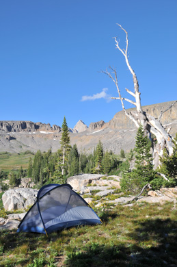 The Mountain Pulse Camping Grand Teton National Park Jackson Hole 