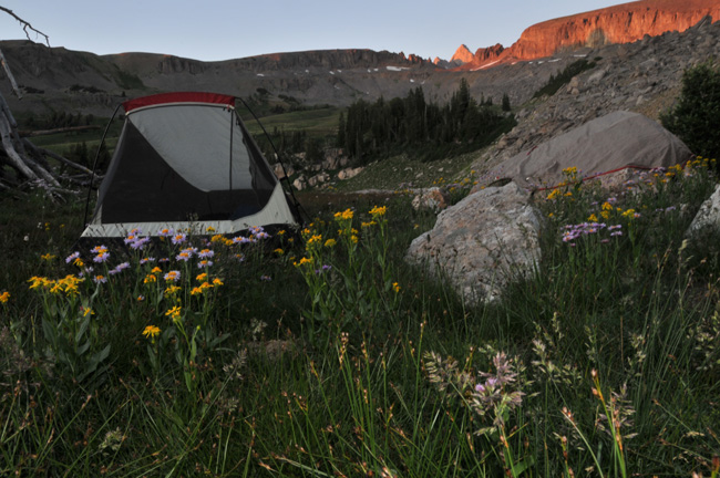 The Mountain Pulse Grand Teton National Park Camping Tent Jackson Hole