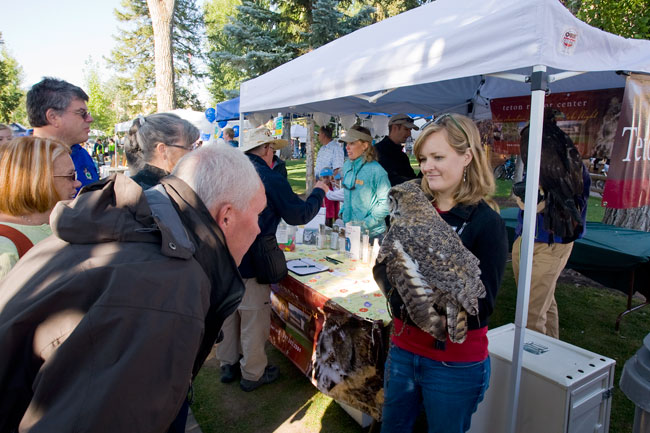 old bills fun run the mountain pulse jackson wyoming grand teton