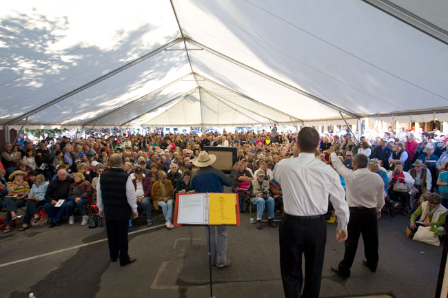 the mountain pulse jackson hole fall arts festival quick draw art auction