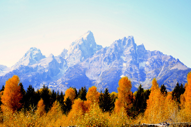Grand Teton National Park fall colors jackson hole wyoming Grand Teton National Park fall colors jackson hole wyoming