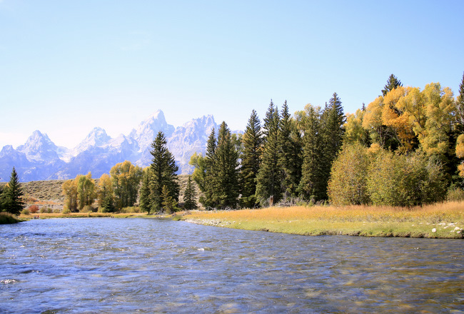 JB Fish the Fly snake river the mountain pulse fly fishing grand teton national park