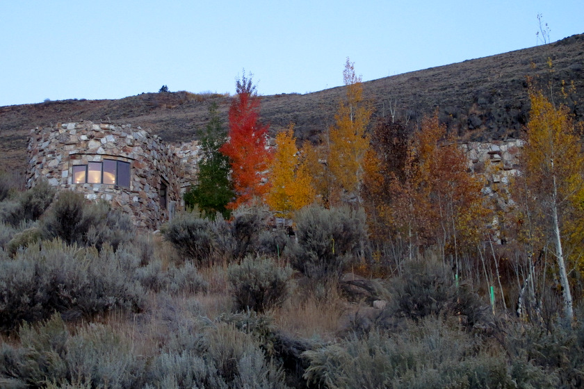 wildlife art museum jackson hole harvest on the hill