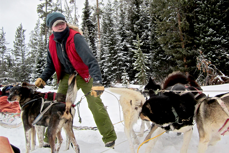 dog_sledding_02 dog sledding, togwotee pass, jackson hole wyoming, the mountain pulse, continental divide