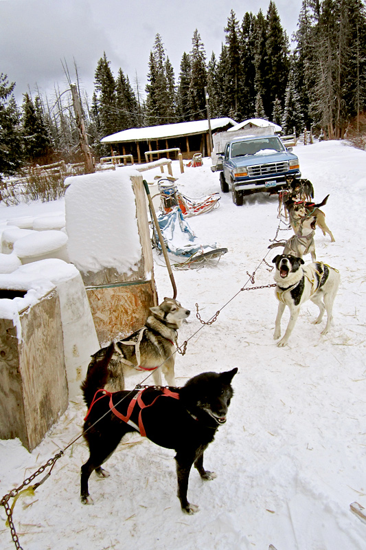 dog_sledding_04, dog sledding, togwotee pass, jackson hole, the mountain pulse