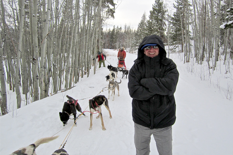 dog_sledding_10, dog sledding, togwotee pass, jackson hole wyoming, the mountain pulse