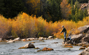 The Mountain Pulse Jackson Hole Fly Fishing Maps