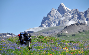 The Mountain Pulse Geoprogramming Jackson Hole Hiking Trails