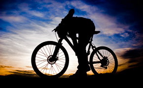 The Mountain Pulse Jackson Hole Mountain Biking Trail Maps