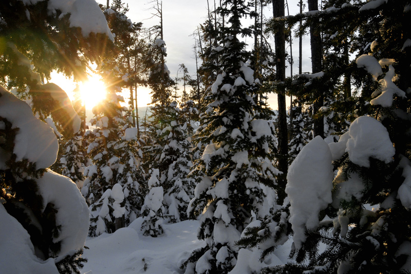 25short_02, backcountry skiing in grand teton national park, backcountry splitboarding, jackson hole wyoming