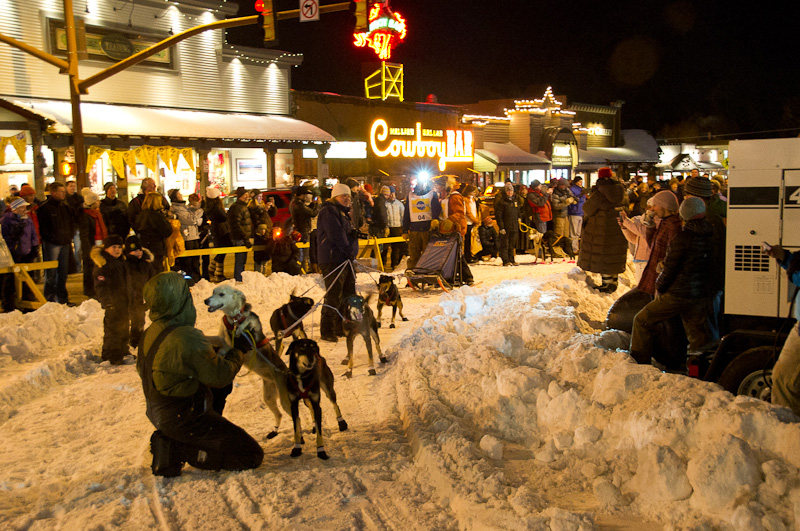 jackson wyoming sled dog race jackson hole the mountain pulse