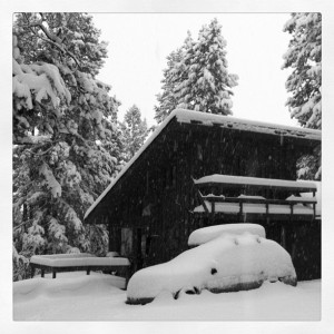 buried cabin in jackson hole the mountain pulse 