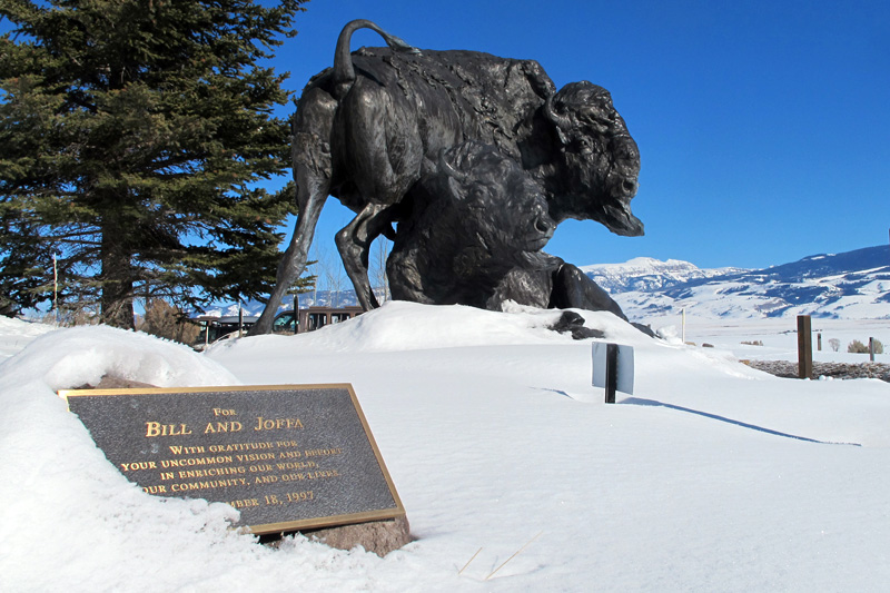 the mountain pulse jackson hole national museum wildlife art