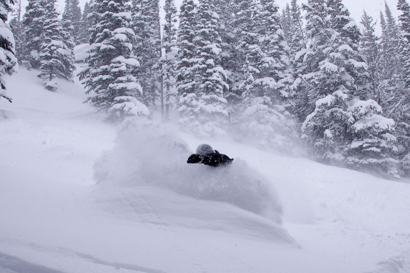 rafal early morning tracks jackson hole mountain resort 