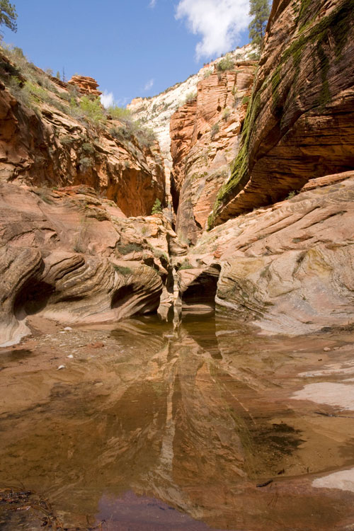 the narrows zion national park utah