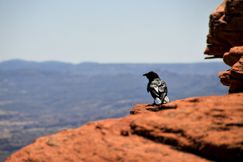 canyonlands_03, canyonlands national park, moab, utah, desert landscape, photography, national parks week