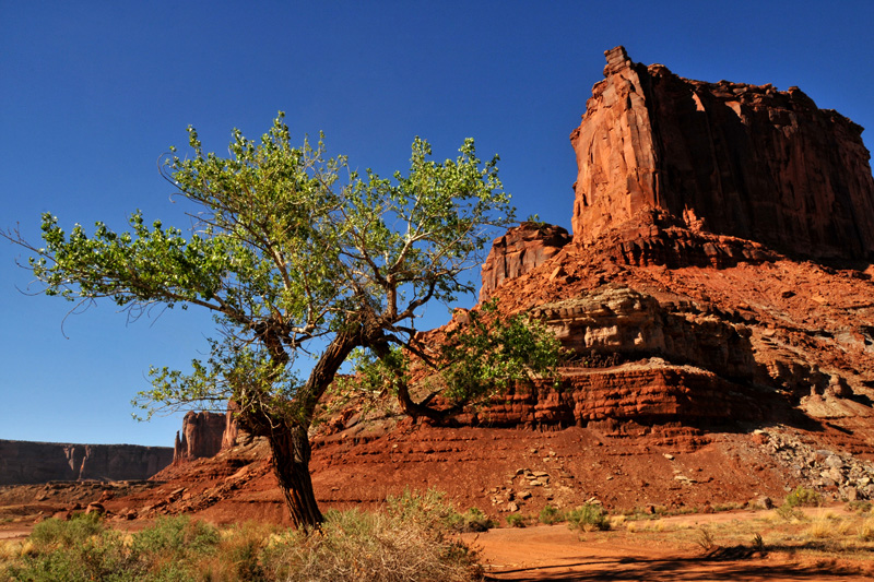 canyonlands_03, canyonlands national park, moab, utah, desert landscape, photography, national parks week