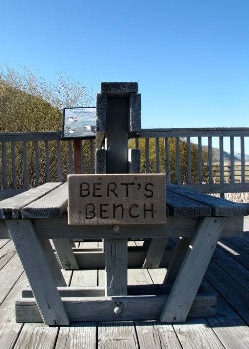 berts bench national elk refuge