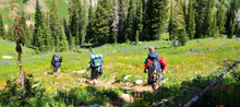 hiking_02, jackson hole wyoming hiking trail guides, google earth trail maps, grand teton national park