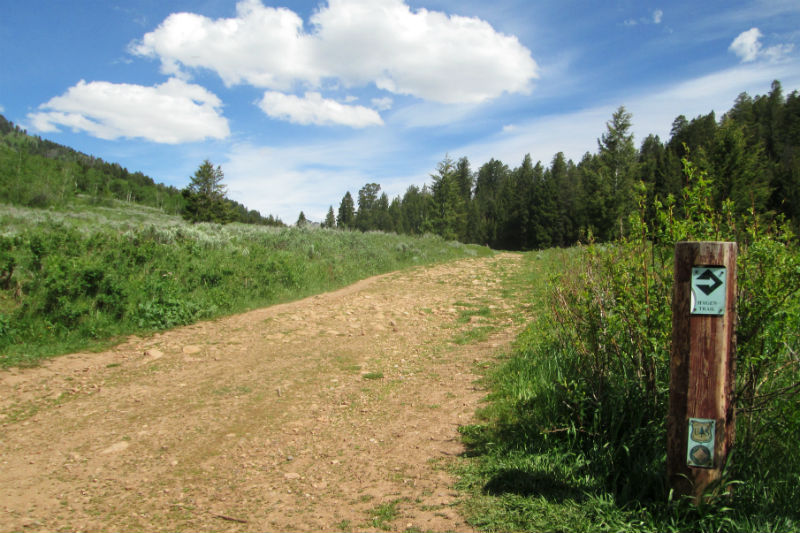 cache creek road mountain biking jackson hole wyoming hoback sports bridger teton national forest