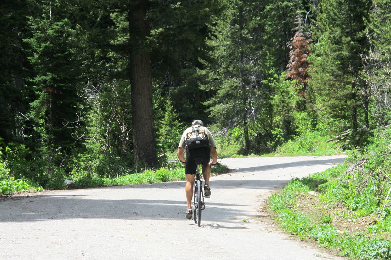teton_pass_hillclimb jackson wyoming mountain biking cycling wyoming teton pass 