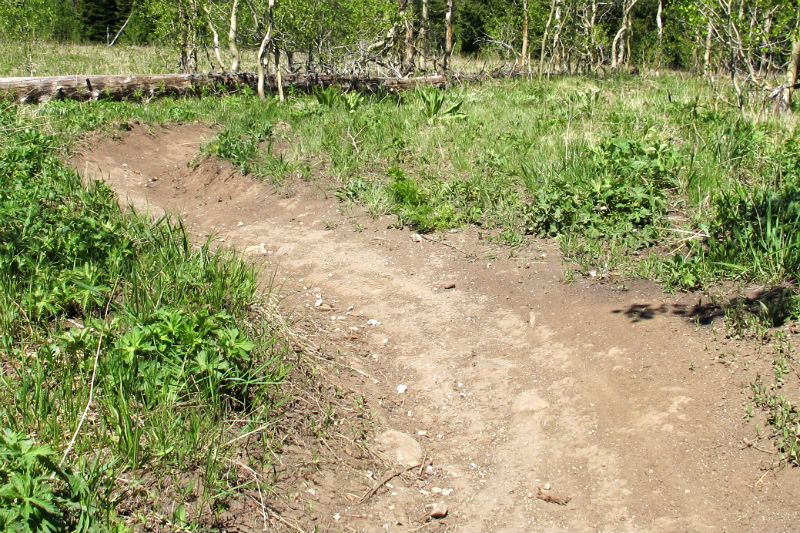 trail_close_up hoback sporta mountain bike report trail grand teton national park bridger teton national forest friends of the pathways teton freedom riders mountain biking teton pass cycling pathways