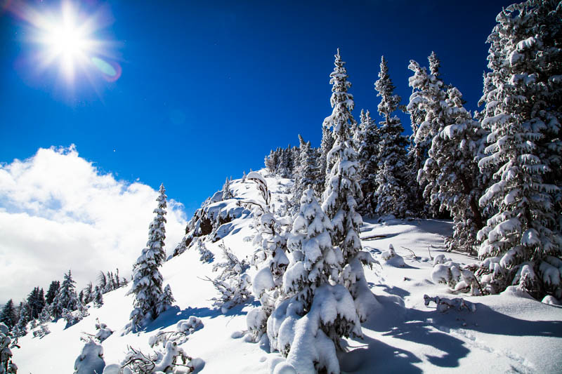 two oceans togwotee pass ski season 2012 jackson hole egan gleason photography