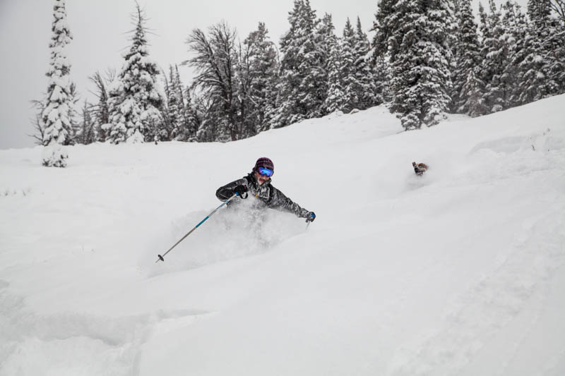 Matt Lovely Bandit the dog teton pass egan gleason photography jackson hole