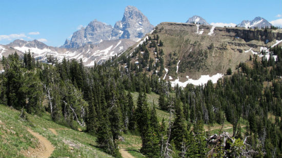 grand_targhee_mountain_bike_trail_tetons_550