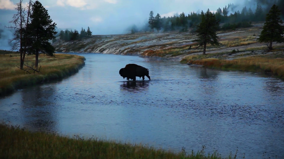 Video of the Day Primoridial Vortex Productions jackson Hole Grand Teton National Park Yellowstone National Park 