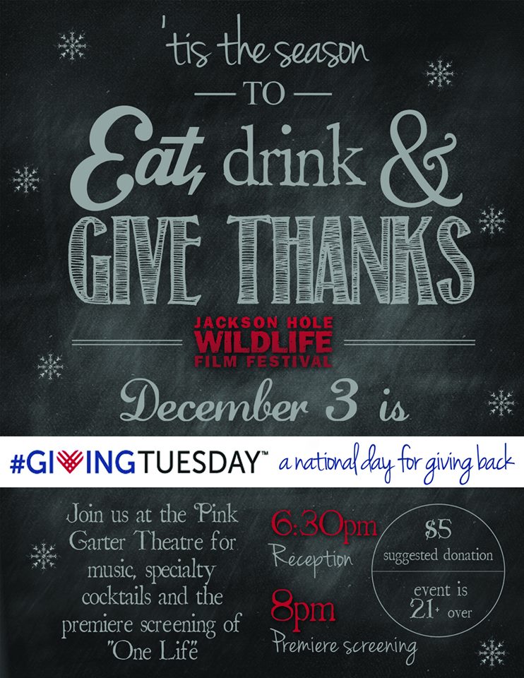 Giving Tuesday Jackson Hole Wildlife film festival pink garter theatre