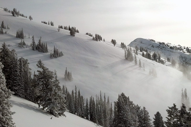 grand targhee opening jackson hole the mountain pulse 