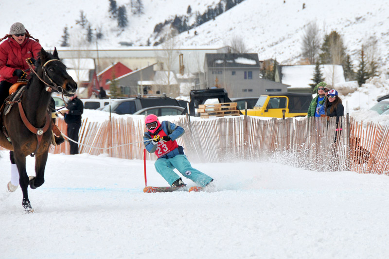 DSC_4155, ski joring in jackson hole wyoming