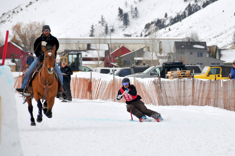 DSC_4155, ski joring in jackson hole wyoming