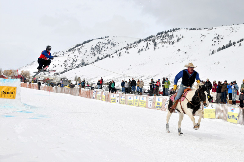 DSC_4155, ski joring in jackson hole wyoming