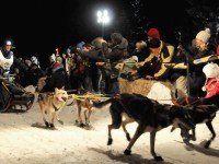 Upcoming Event: The International Pedigree Stage Stop Sled Dog Race
