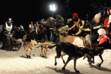 Upcoming Event: The International Pedigree Stage Stop Sled Dog Race