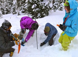 2013/2014 Avalanche Education Courses in Jackson Hole
