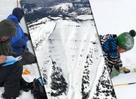 Avalanche Education Courses in Jackson Hole