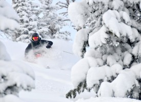Photo of the Day – Backcountry Powder on Baldy Knoll